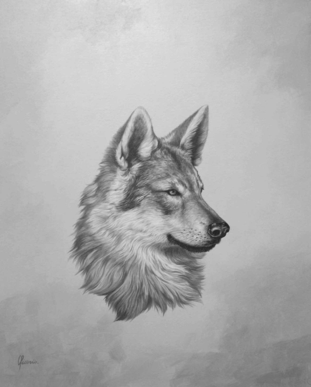 lupo cecoslovacco
