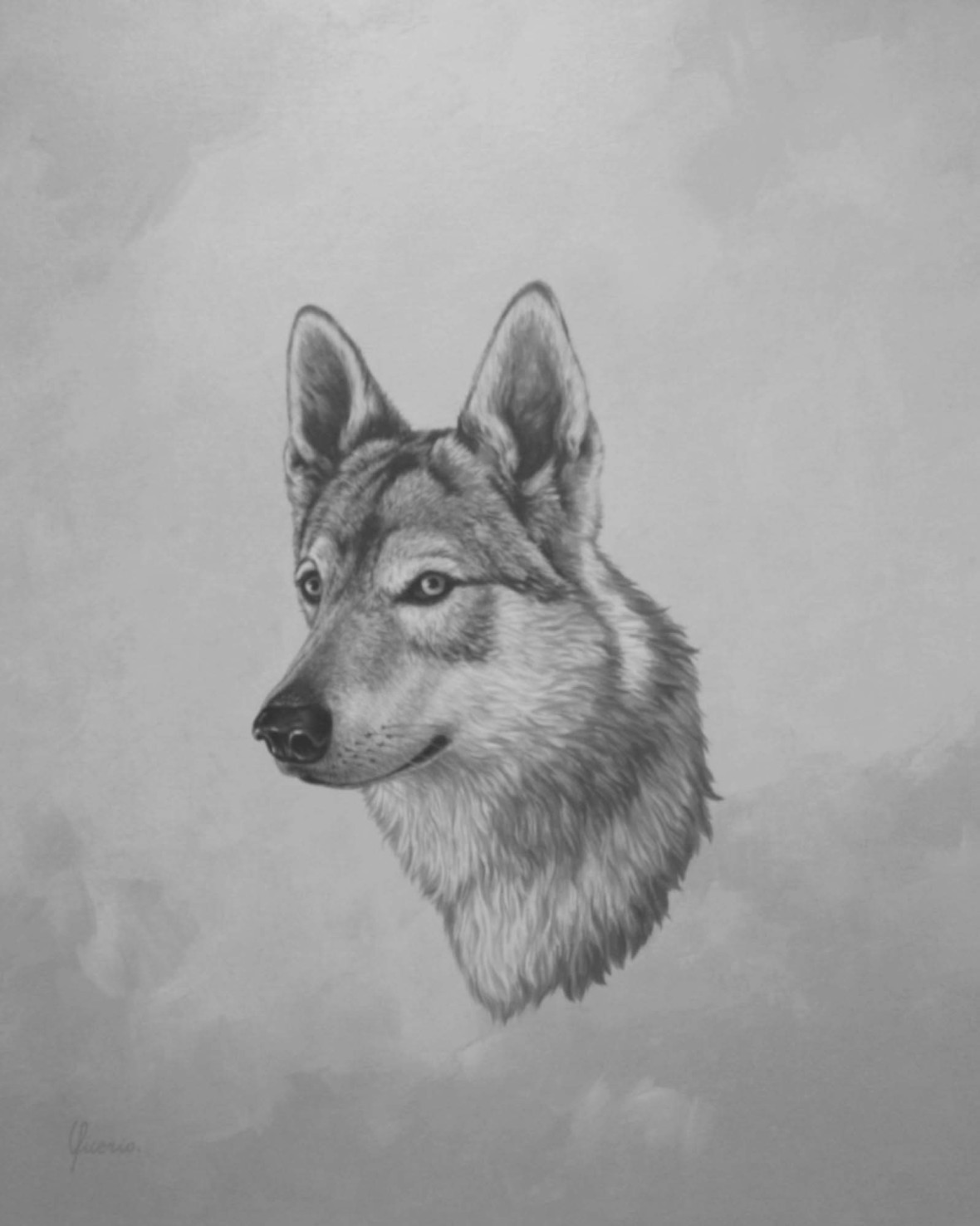 lupo cecoslovacco