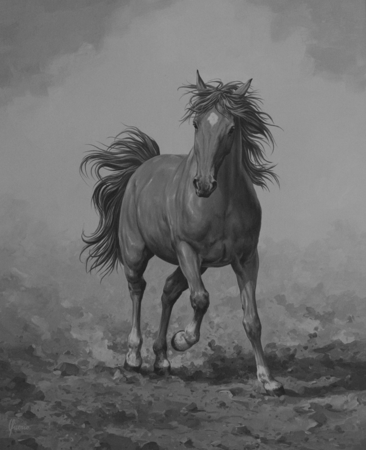 cavallo