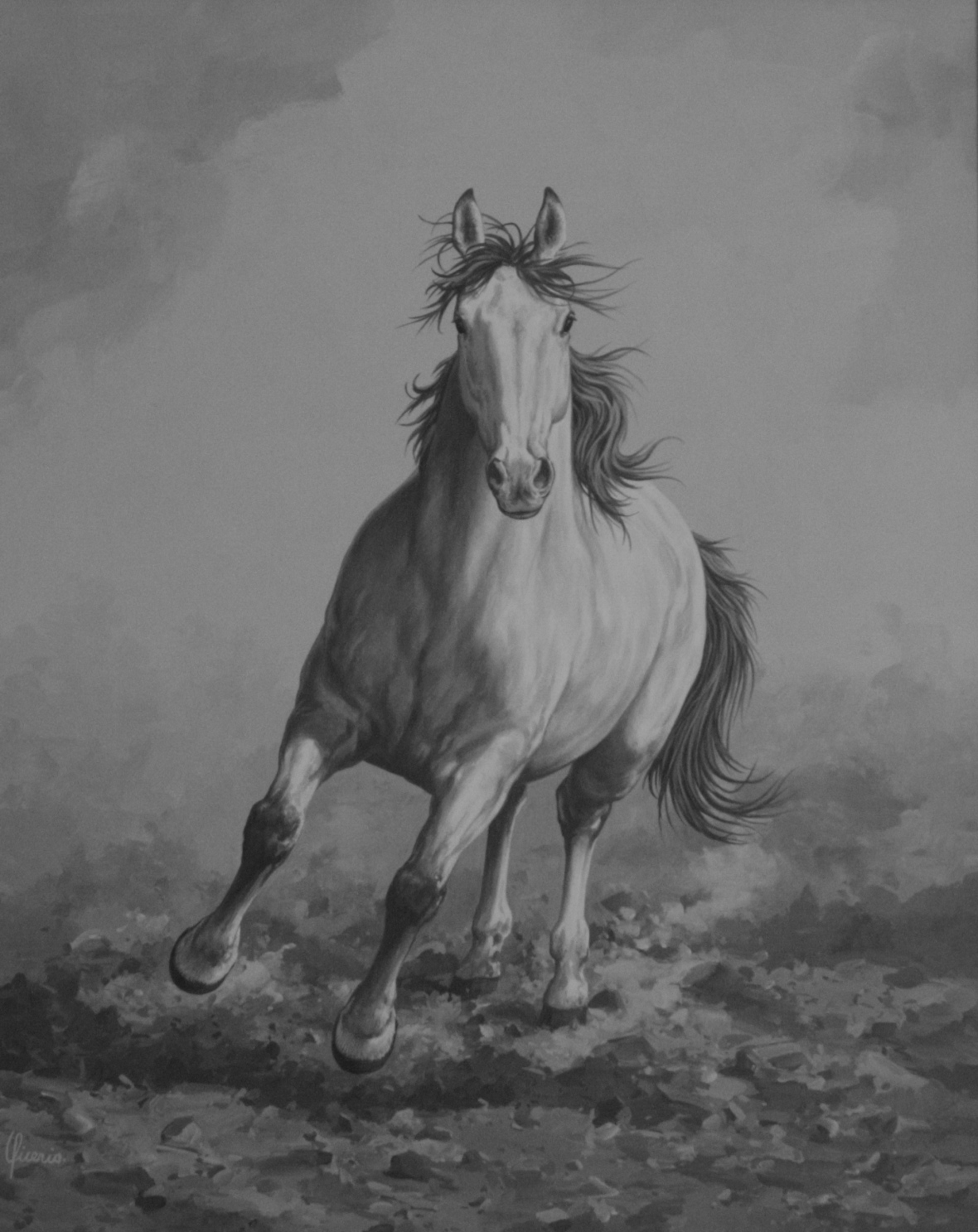 cavallo arabo