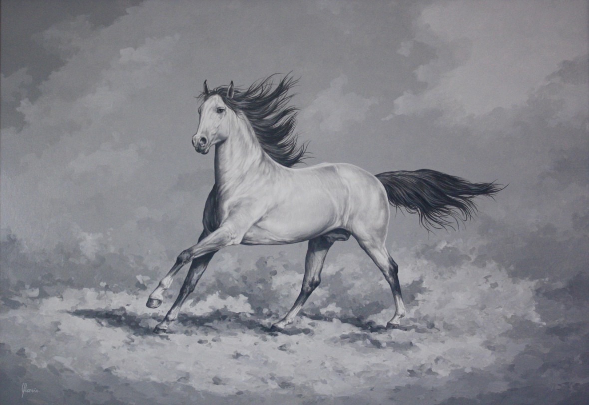 cavallo