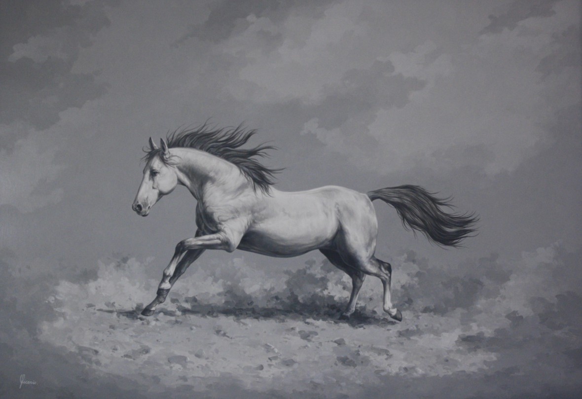 cavallo arabo