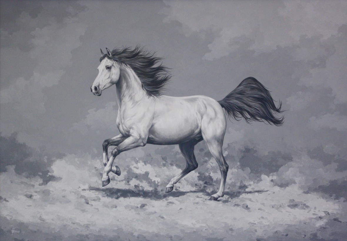cavallo arabo