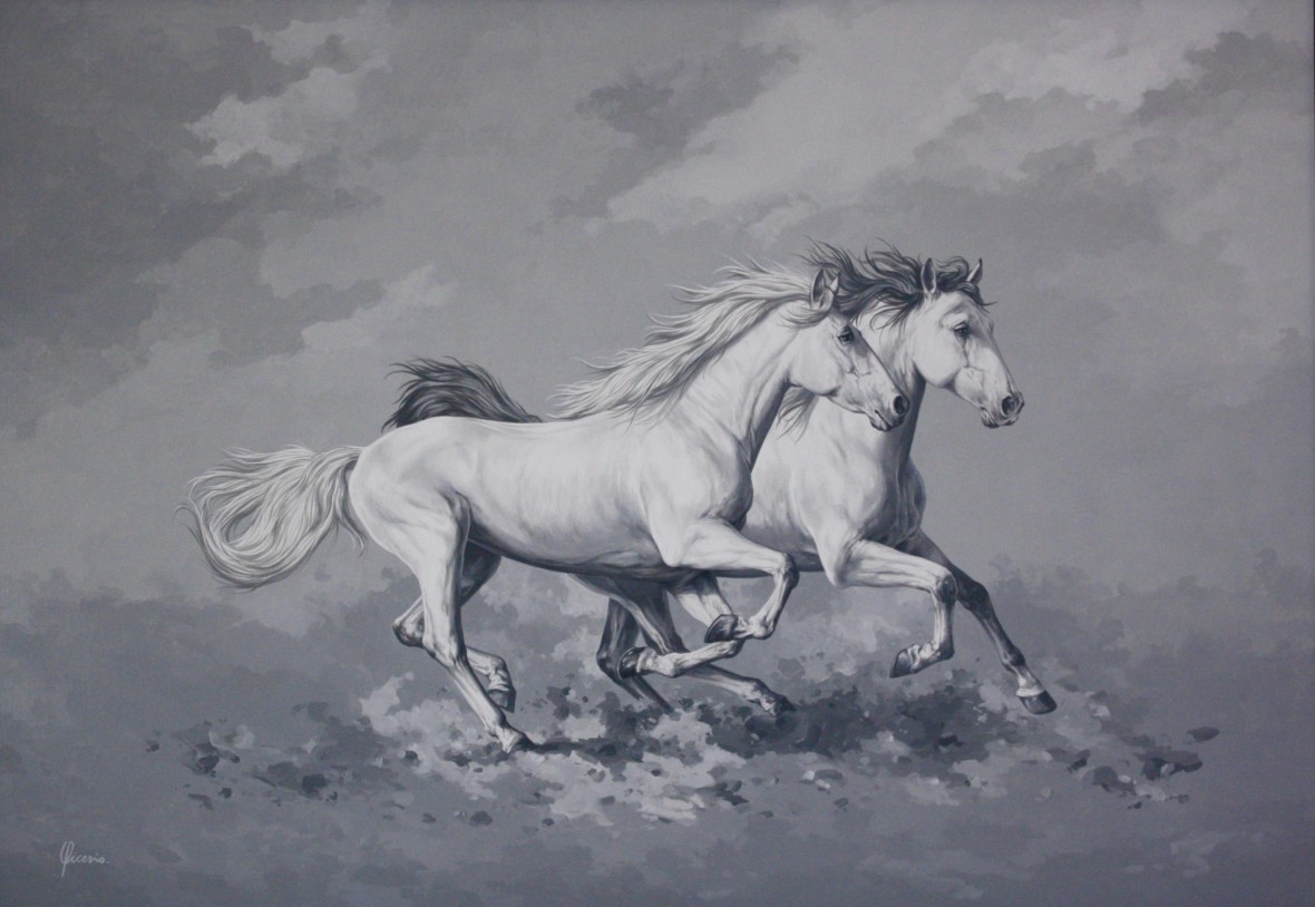 cavallo arabo