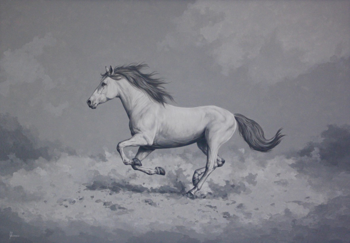 cavallo