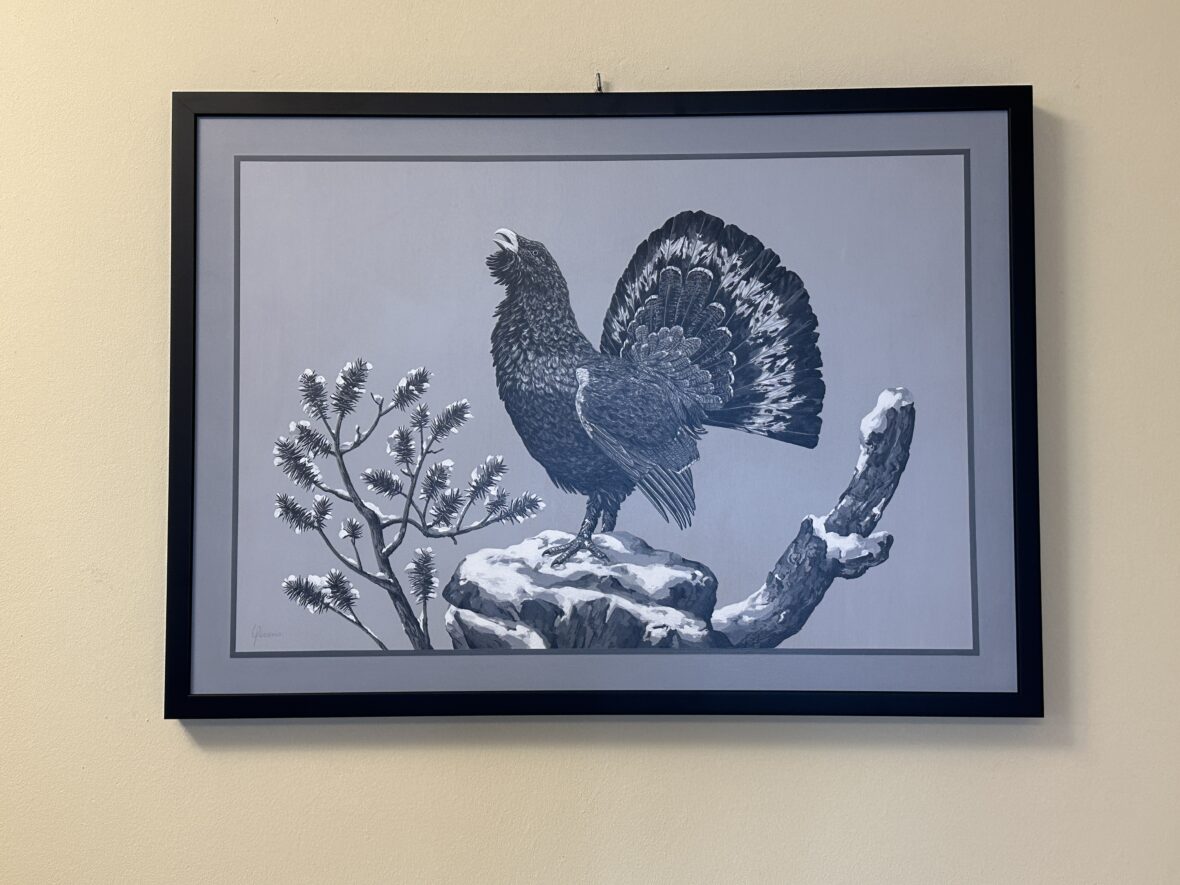 Gallo Cedrone